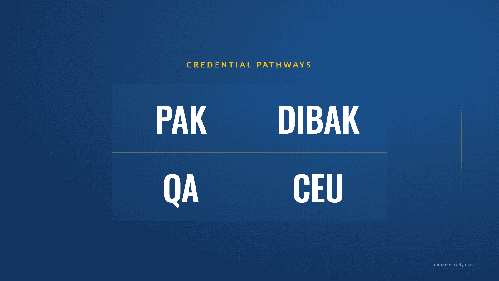 Applied Kinesiology Certification: ICAK and QA Pathways